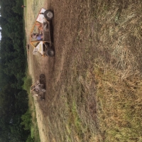 2019-07-06_bedrijfsfeestje_1_20190713_1840767220