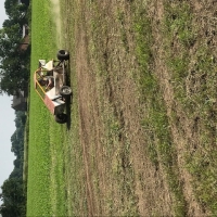 2019-07-06_bedrijfsfeestje__3_20190713_1464000770