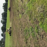 2019-07-06_bedrijfsfeestje__4_20190713_1417618493